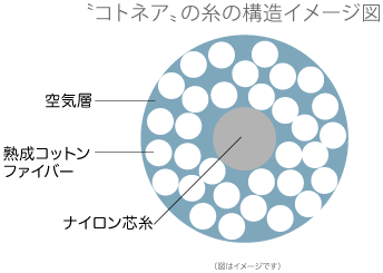 コトネアの糸の構造イメージ図